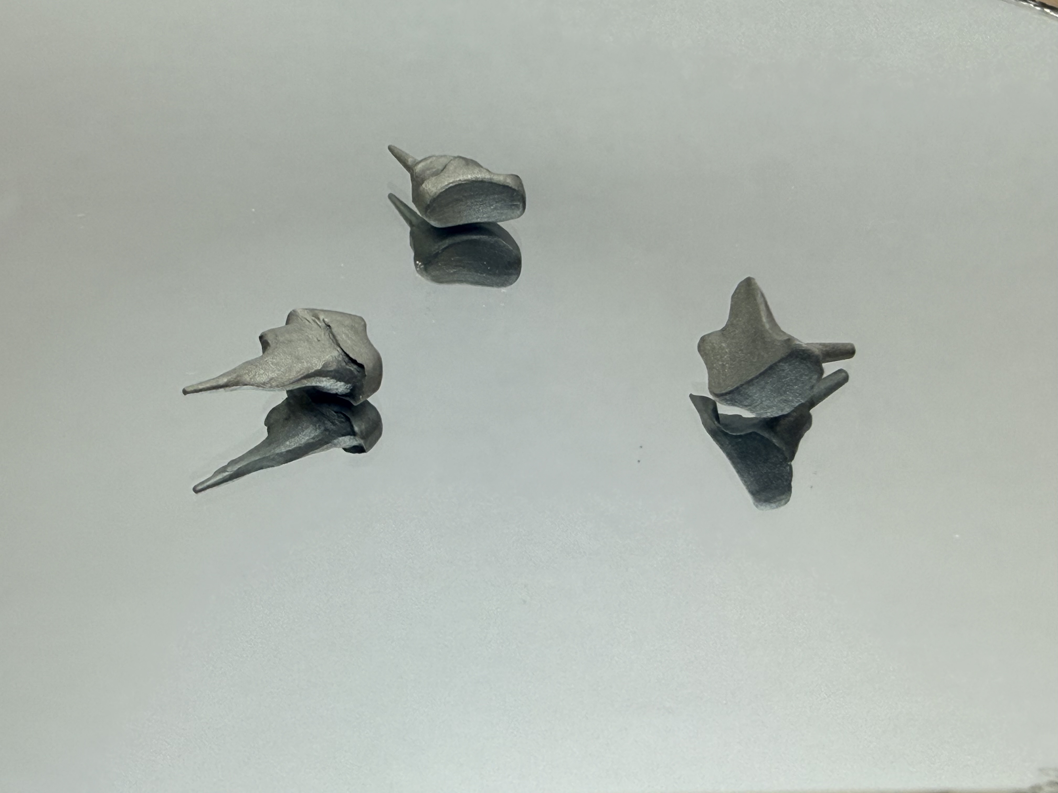 Inlay-core
