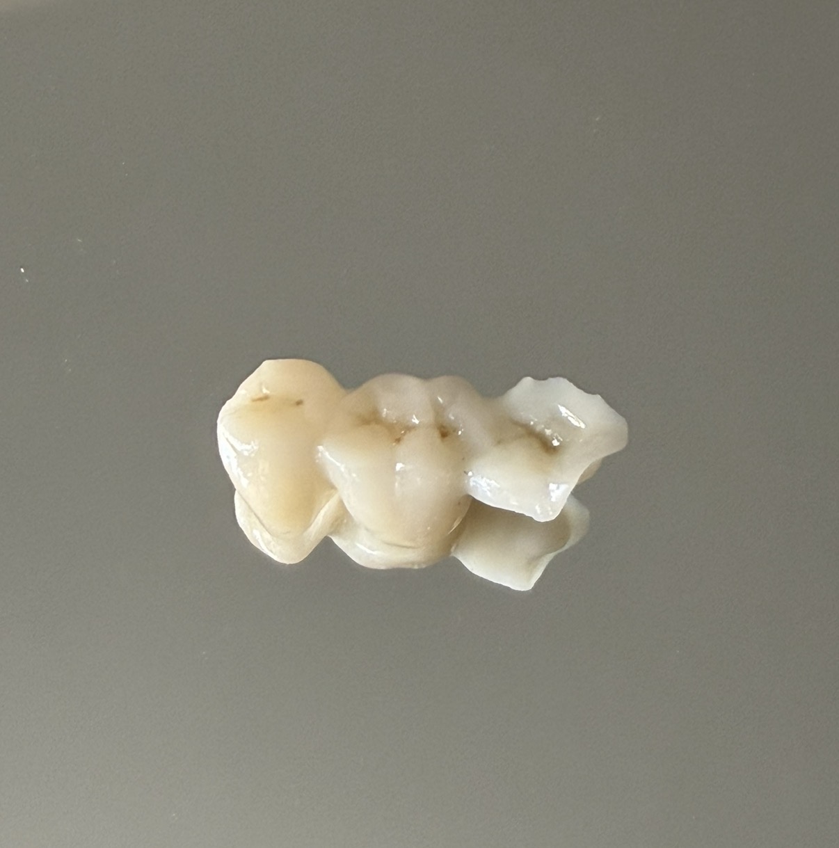 Couronne E-max